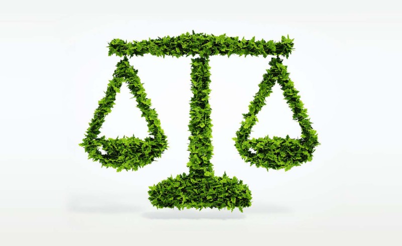 Eco-Scales-Sign-83061050